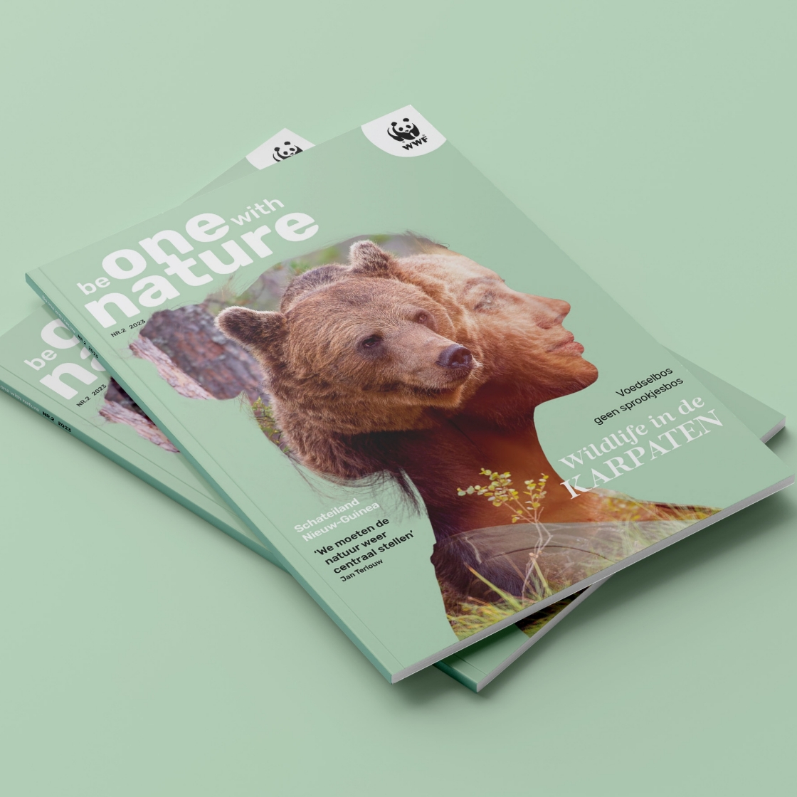 Brand Identity Case Study