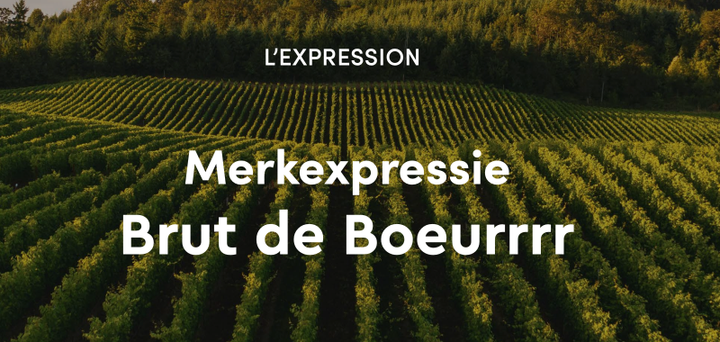 Merkexpressie Preview